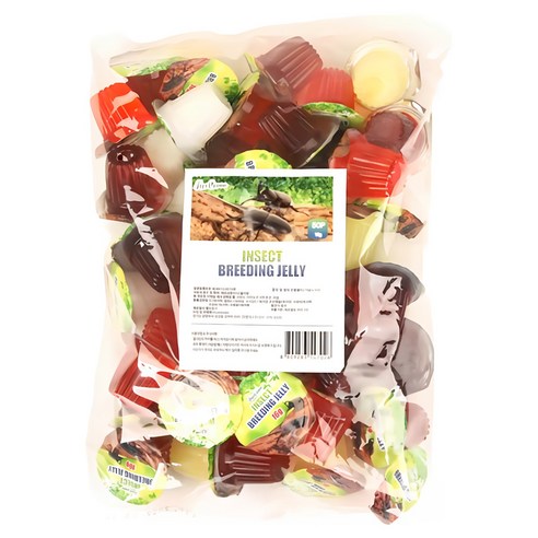 파이브오션 곤충젤리, 혼합색상, 50개