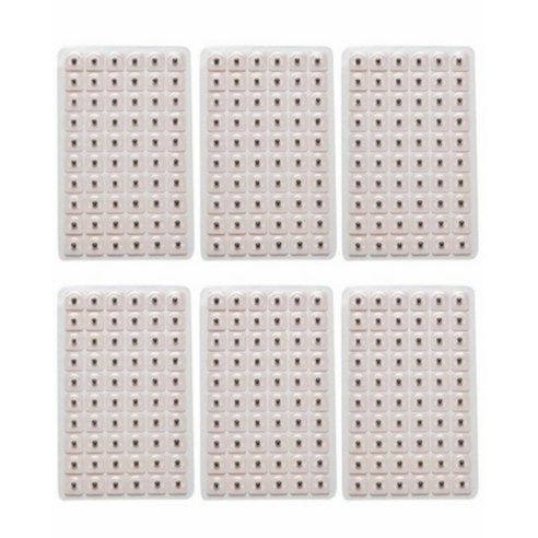 로에드 이혈기석 귀마사지 다이어트 귀지압패치 10장 600매, 귀지압패치, 2400개