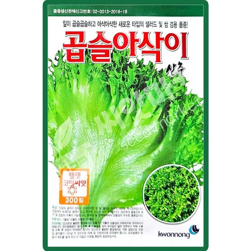 곱슬아삭이상추 씨앗 300립 아삭이 상추씨 쌈채소 샐러드 종자, 1개