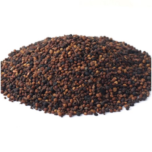 월드블링 자연산 토사자 300g, 1개 맛있게 먹은 솔직 후기 - 상품 이미지 1