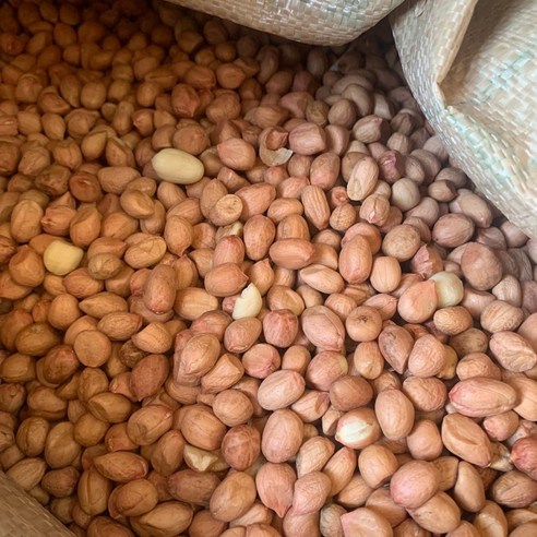[안녕육지사람] 제주 직접 재배 우도 생땅콩 1kg 40000원, 1개