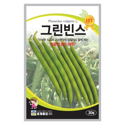 그린빈스 넝쿨 씨앗 30립 그린빈스 씨 씨앗 종자, 1개