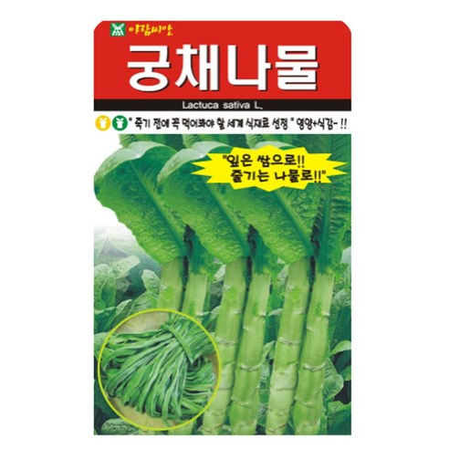 아람종묘 궁채나물 씨앗, 1개