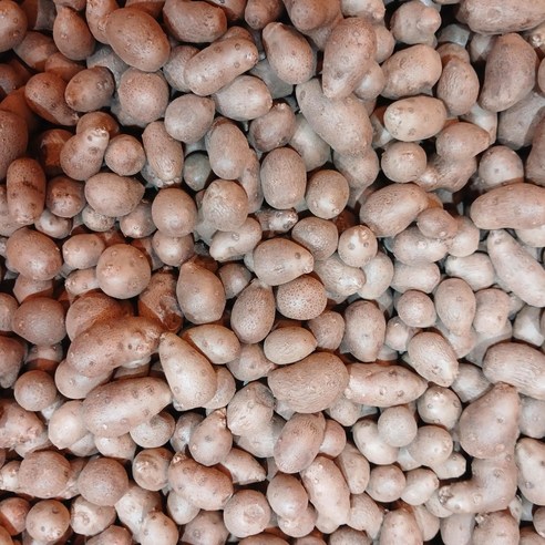 피할 수 없는 하루의 흔한 고단함 속 작은 위안 최준석농산물 피할 수 없는 하루의 흔한 고단함 속 작은 위안 최준석농산물