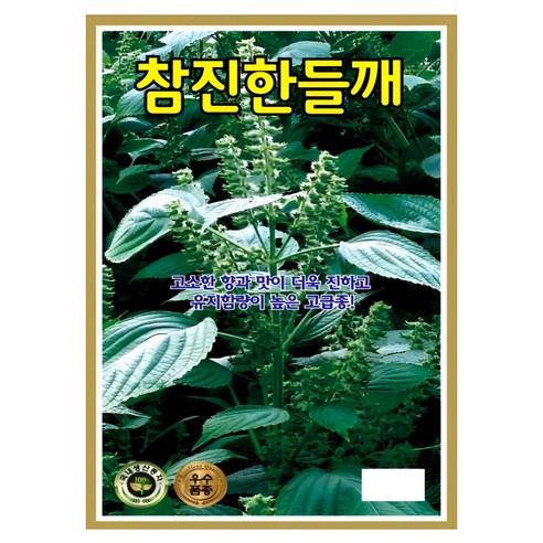 KS종묘 참진한들깨 씨앗 100g 고유지 고소한 들깨종자 ks