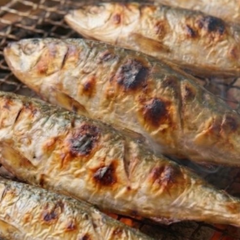 [기간한정특가] 당일조업 생물 구이용 전어, 500g, 1박스