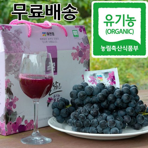 하늘닮은 유기농 포도즙, 100ml, 1