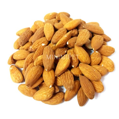 미니미펫 통아몬드 100g 자연간식