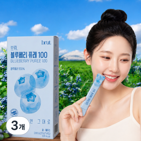브뤼 블루베리 퓨레 100% 무첨가 20g*14p 통째로 껍질부터 씨앗까지, 3개, 280g