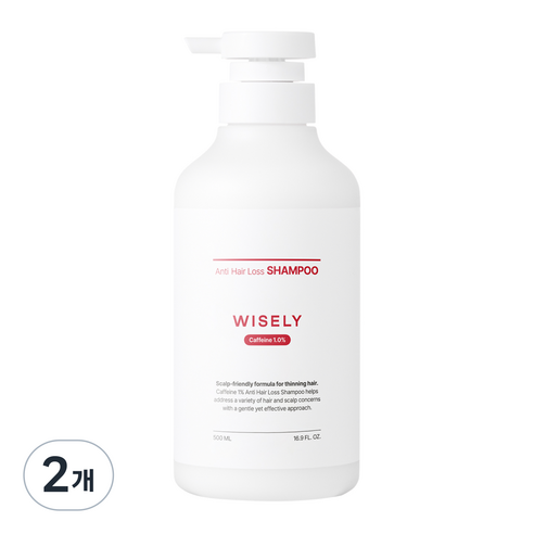 와이즐리 카페인 탈모 지성용 샴푸, 2개, 500ml
