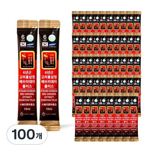 6년근 홍삼 스틱 진액 실속형 끝판왕 에브리데이 플러스, 100개, 10ml