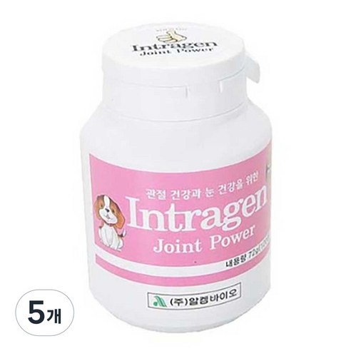 인트라젠 조인트 파워 120정 종합 영양제, 뼈/관절강화, 5개