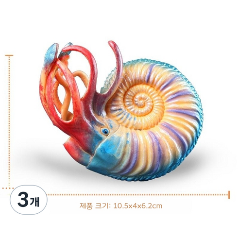 선호그룹 삼엽충 화석 운석 화폐석 피규어 모형 공룡 전시 액침표본 고생대 동물, 암모나이트, 3개