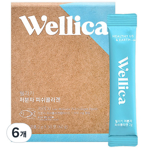 웰리카 저분자 피쉬 어린콜라겐 펩타이드 300달톤 이너뷰티, 6개, 60g