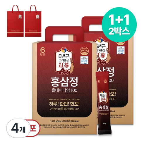 1+1 홍삼정 올데이타임 100 대용량+쇼핑백, 4개, 1L