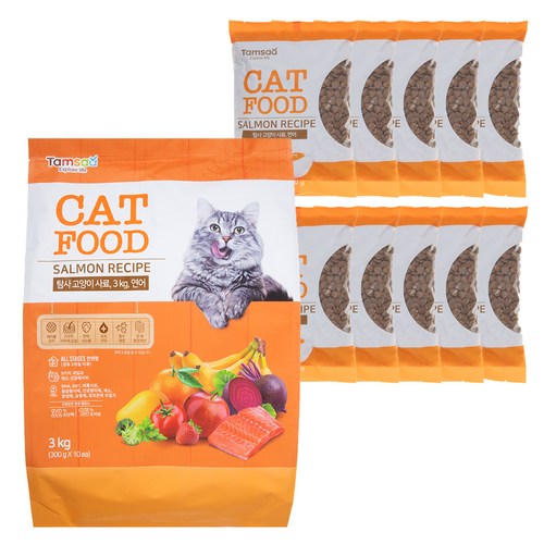 탐사 고양이 사료 연어, 3kg, 1개 골드박스 특가