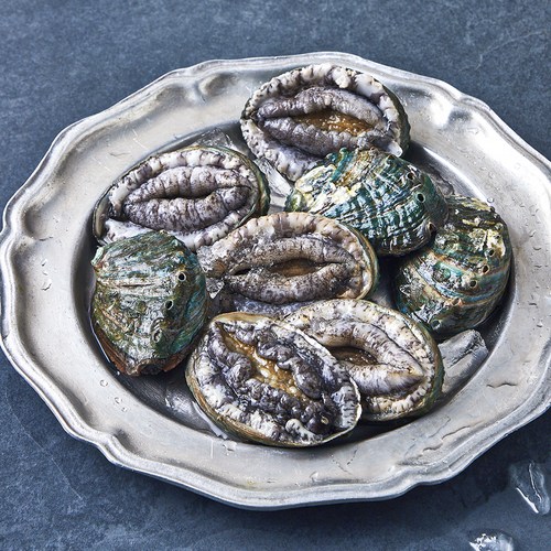 완도맘 활전복 (냉장), 500g 내외(대, 8마리), 1개 골드박스 특가