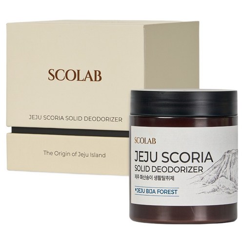 스코랩 제주 화산송이 생활탈취제 비자숲 본품, 250g, 1개 골드박스 특가
