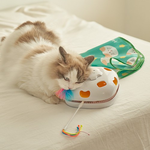 헤이홈 꼬리잡기 고양이 자동 장난감 펫 토이