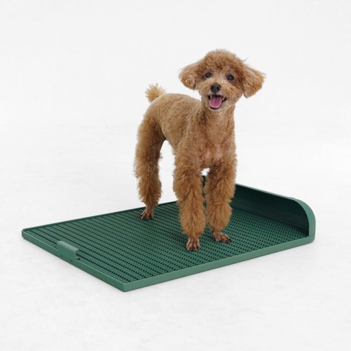 독톡 강아지 배변판 연장형 패드 필요 없는 애견 화장실 대형