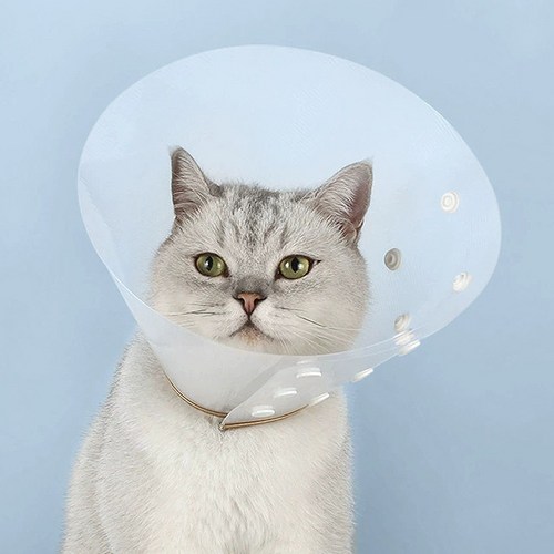 상품정보링크 생성반려동물 긁음방지 상처 방지 똑딱 깔때기 넥카라 강아지…