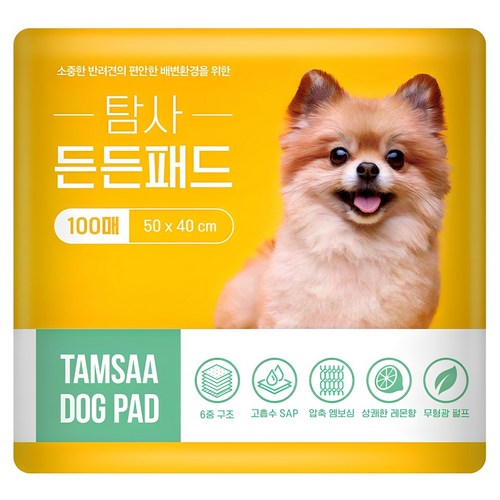 탐사 고흡수 든든패드 레몬향, 100개입, 1개 골드박스 특가