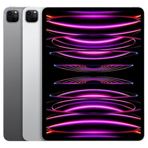 Apple 정품 2022 아이패드 프로 12.9 6세대 M2칩, 스페이스그레이, 512GB, Wi-Fi+Cellular