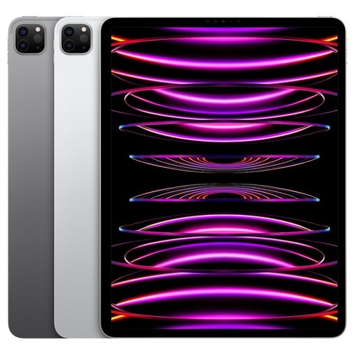 Apple 정품 2022 아이패드 프로 12.9 6세대 M2칩, 스페이스그레이, 1TB, Wi-Fi+Cellular