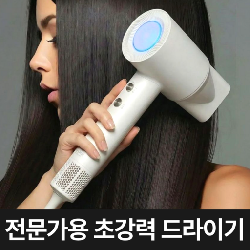 고출력 BLDC 전문가용 헤어드라이기 가정용 미용실 드라이기, 모던 화이트