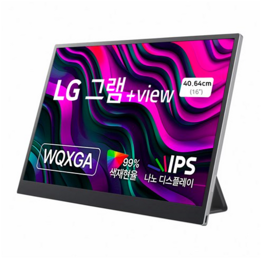 LG전자 WQXGA 그램 +View 모니터, 40cm, LG 16MR70