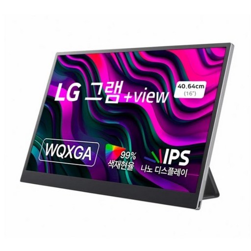 LG전자 WQXGA 그램 +View 모니터, 40cm, 16MR70 혼합