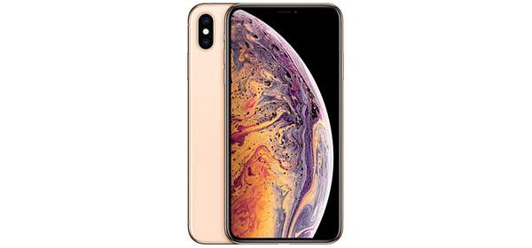 Apple 아이폰 XS Max 자급제, 골드, 64GB
