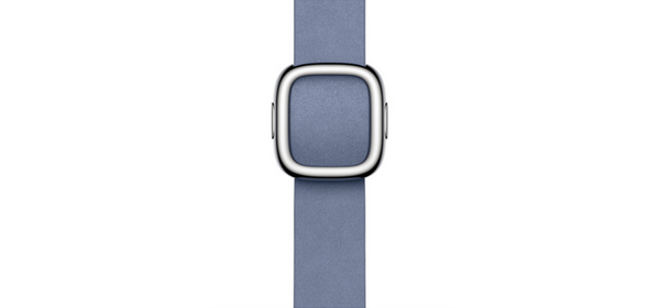 Apple 정품 애플워치 모던 버클, 38/40/41mm, Large, 멀베리