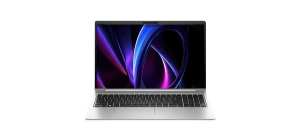 HP 2023 프로북 455 G10 15.6 라이젠5 라이젠 7000 시리즈, 실버, 2TB, 32GB, WIN11 Pro, G10-B6SJ6AT 2