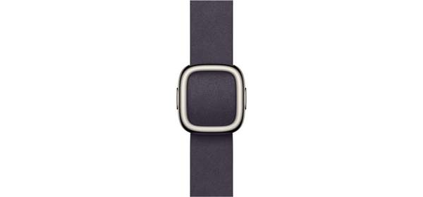 Apple 정품 2025 애플워치 모던 버클, 세이지 그레이, 1개, 42mm, Large