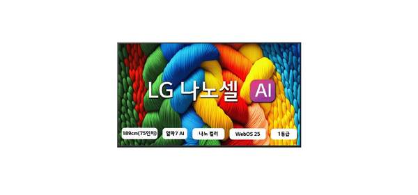 LG전자 4K UHD LED 나노셀 AI TV, 189cm(75인치), 75NANO80AEA, 벽걸이형, 방문설치