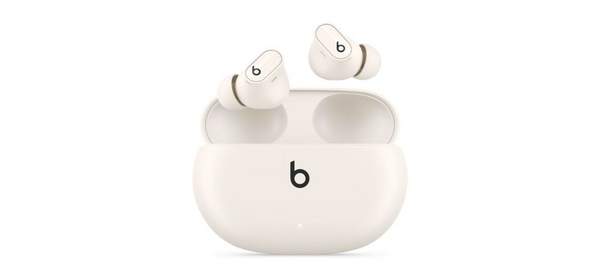 Apple 정품 Beats 스튜디오 버즈 +, 블랙 + 골드