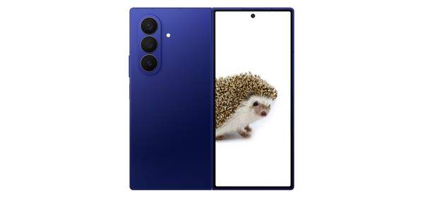 삼성전자 갤럭시 Z 폴드7, 256GB