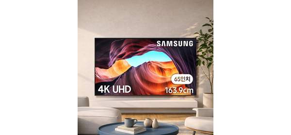 삼성전자 4K UHD HDR 1등급 TV, LH SAMSUNG UHD 4K, 방문설치, 벽걸이형, 164cm(65인치) 1