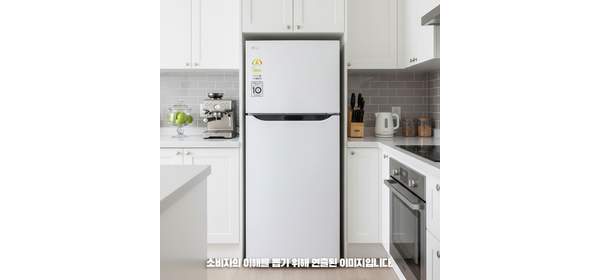 LG전자 B182W13 일반냉장고 189L 3등급 2도어 물류설치 신규입점특가 설치비무료 폐가전수거 1