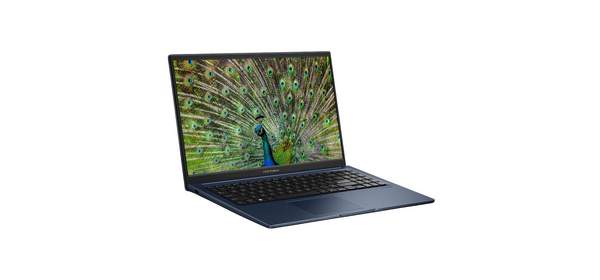 에이수스 2025 비보북 15 코어5 인텔 14세대, 콰이어트 블루, 1TB, 24GB, WIN11 Pro, X1504VA-BQ4270W