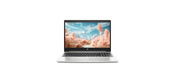 HP 프로북 450-G7 인텔i7 10세대i7 DDR4 슬림 사무용 업무용 초고속부팅 윈도우11 SSD, Probook 450-G7(i7), 윈도우 11 프로, 8GB, 256GB, 실버 1