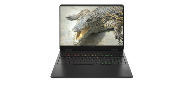 HP 2025 오멘 16 라이젠9 라이젠 8000 시리즈 지포스 RTX 5070, 쉐도우 블랙, 1TB, 48GB, WIN11 Pro, 16-ap0116AX 2