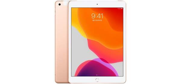 Apple iPad 7세대, 골드, 128GB, Wi-Fi 1