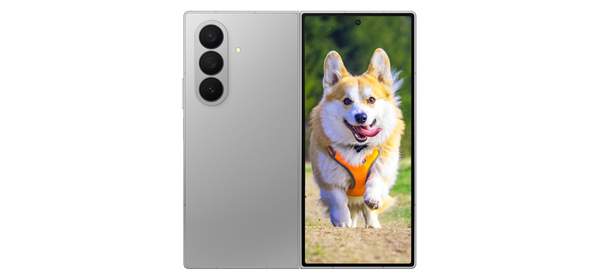 삼성전자 갤럭시 Z폴드 7, 512GB, SilverSh (실버쉐도우)