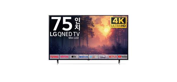 LG TV 189cm(75인치) 퀀텀닷 나노셀 4K 미니 LED 스마트 티비 75QNED90 로컬변경, 방문설치, 벽걸이형, 75인치 1
