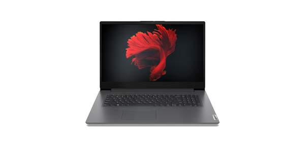 레노버 2024 V17 IRU G4 i5 코어i5 인텔 13세대 83A2003UKR, Iron Grey, 256GB, 16GB, WIN11 Pro 1