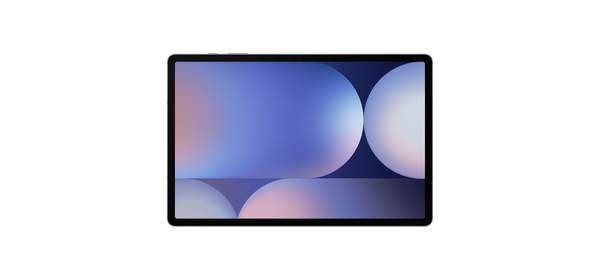 삼성전자 갤럭시탭 S10 플러스 256GB/512GB, Wi-Fi, 256GB, 문스톤 그레이