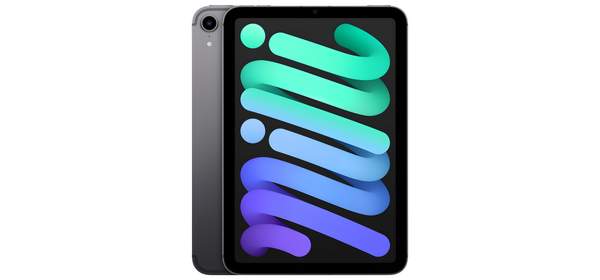 Apple 아이패드 mini, 스페이스 그레이, 256GB, Wi-Fi+Cellular 1