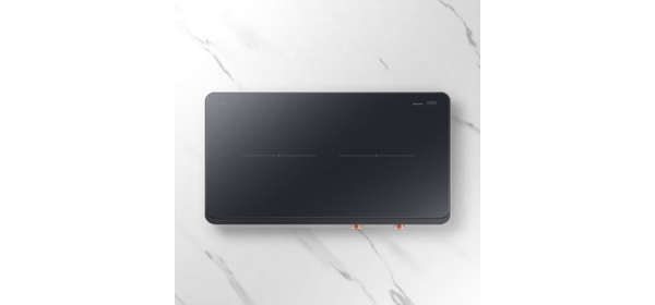 삼성전자 더 플레이트 인덕션 2구 블랙, NZ62DG300CFK, 일반형